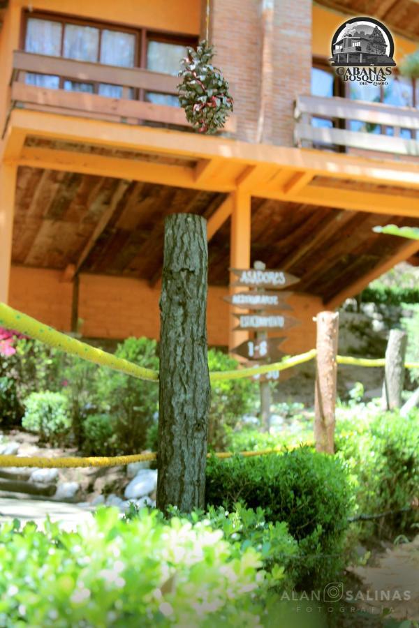 Cabanas Los Bosques Del Zembo Huasca de Ocampo Bagian luar foto