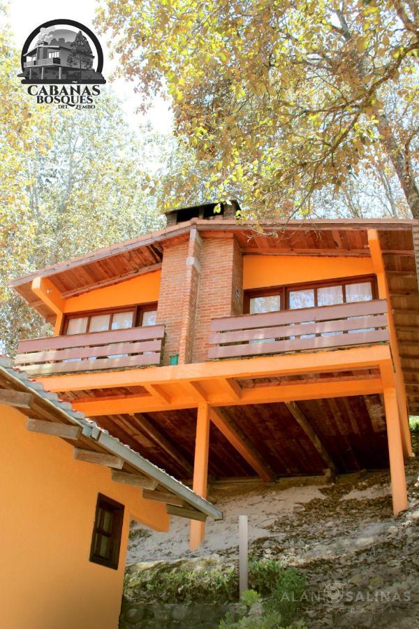 Cabanas Los Bosques Del Zembo Huasca de Ocampo Bagian luar foto