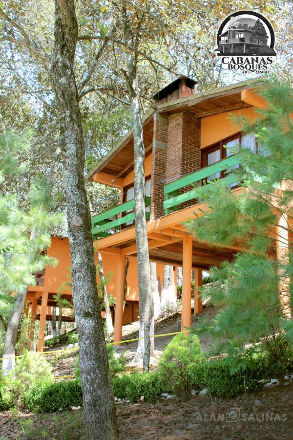 Cabanas Los Bosques Del Zembo Huasca de Ocampo Bagian luar foto