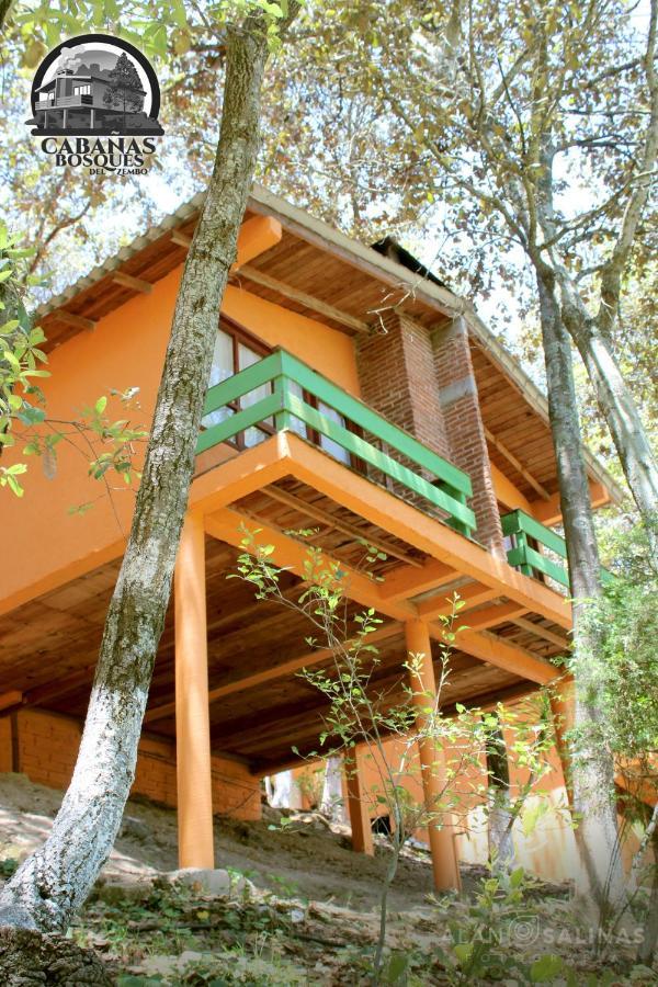 Cabanas Los Bosques Del Zembo Huasca de Ocampo Bagian luar foto