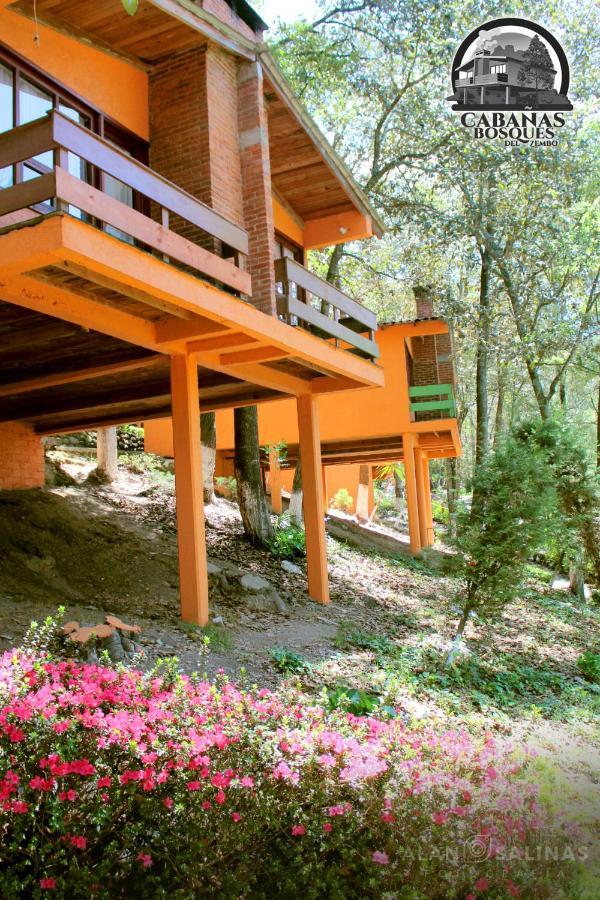 Cabanas Los Bosques Del Zembo Huasca de Ocampo Bagian luar foto