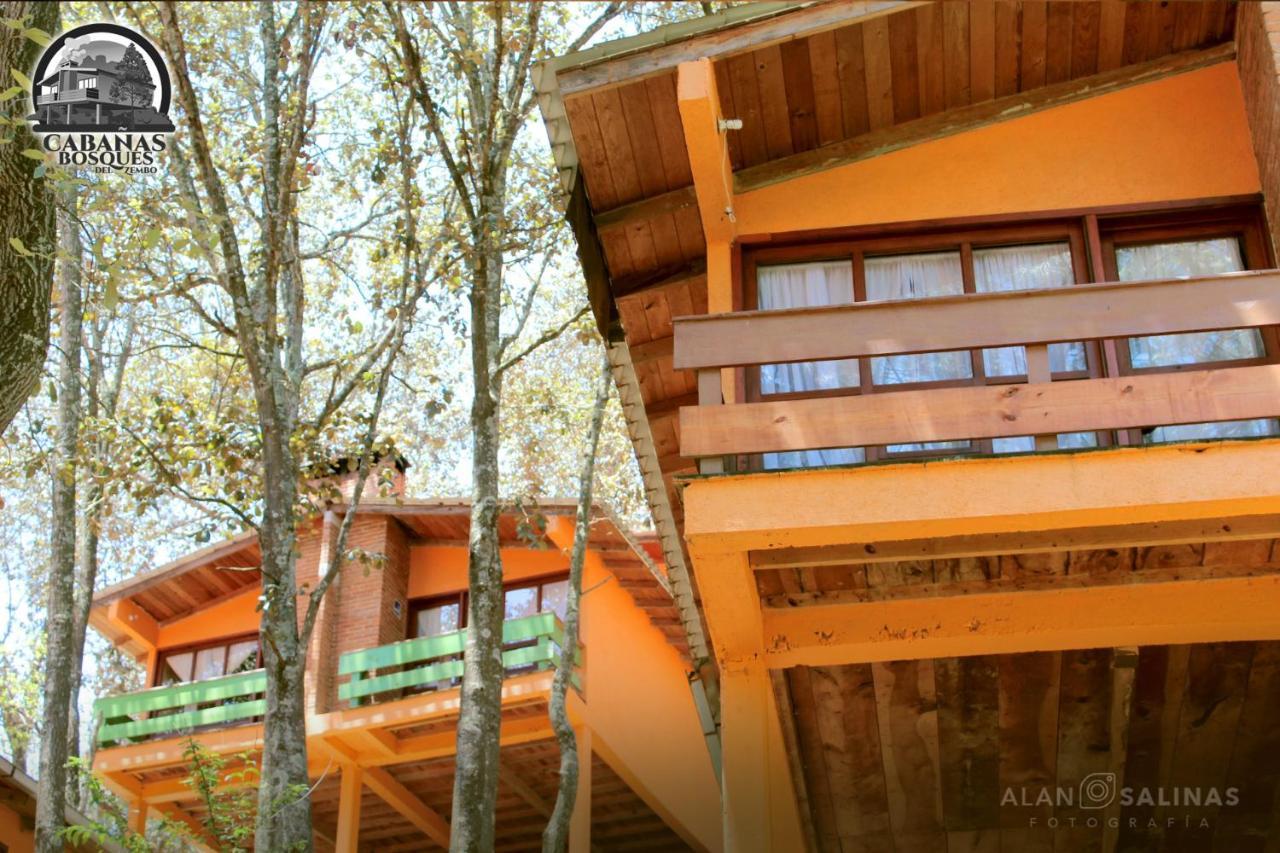 Cabanas Los Bosques Del Zembo Huasca de Ocampo Bagian luar foto