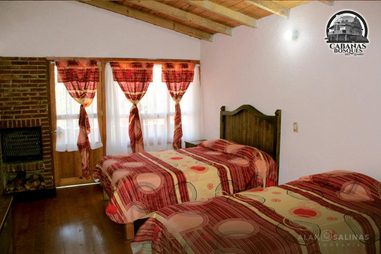 Cabanas Los Bosques Del Zembo Huasca de Ocampo Bagian luar foto