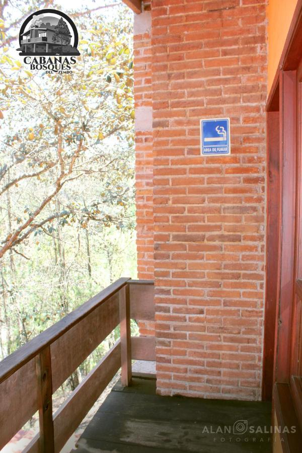 Cabanas Los Bosques Del Zembo Huasca de Ocampo Bagian luar foto
