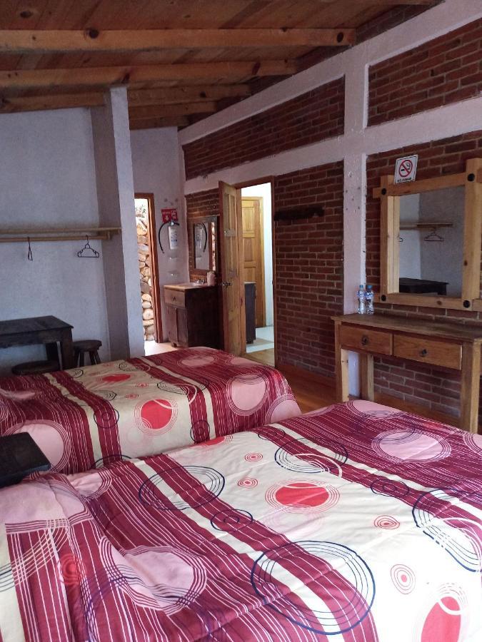Cabanas Los Bosques Del Zembo Huasca de Ocampo Bagian luar foto