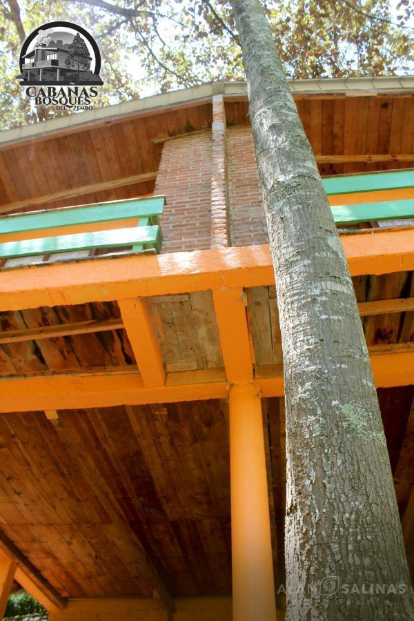 Cabanas Los Bosques Del Zembo Huasca de Ocampo Bagian luar foto