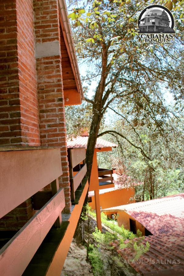 Cabanas Los Bosques Del Zembo Huasca de Ocampo Bagian luar foto
