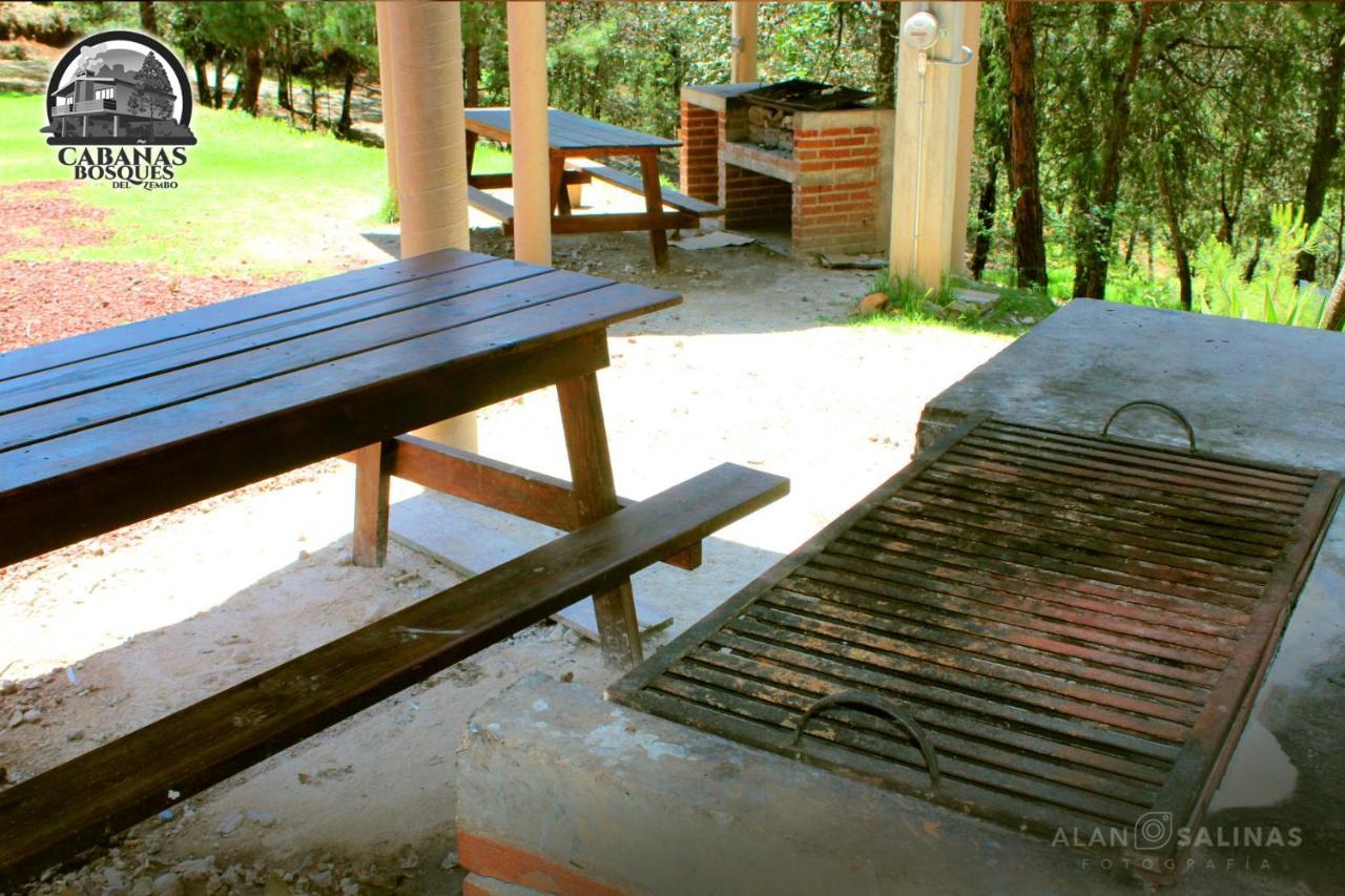 Cabanas Los Bosques Del Zembo Huasca de Ocampo Bagian luar foto