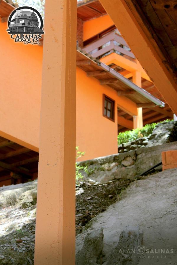 Cabanas Los Bosques Del Zembo Huasca de Ocampo Bagian luar foto